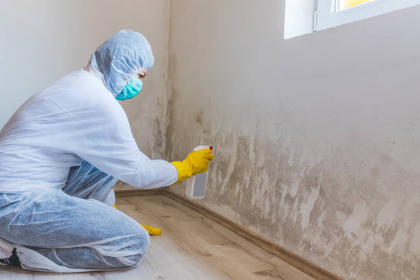 Mold inspector in Hanover performing thermal imaging